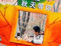 -五女峰国家森林公园