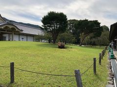 -醍醐寺