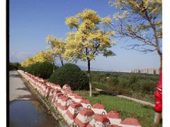 -绿堤公园