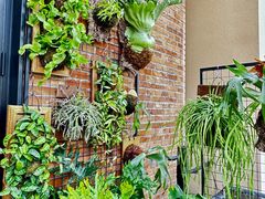 -苹果树下艺术餐厅(通州店)