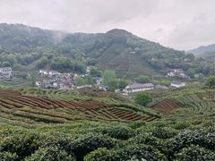 -十里琅珰