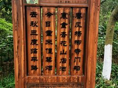 -杭州半山国家森林公园