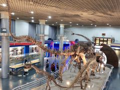 -国家自然博物馆