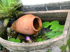 -慢丽江·云南野生菌土鸡锅(付家庄店)