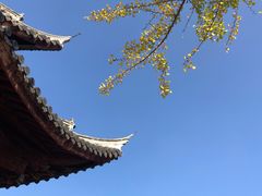 -龙华寺