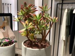 -ICICLE之禾女装店(国贸商城店)