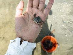 -红树林天天赶海