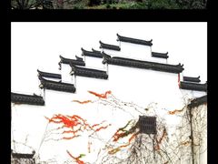 -塔川景区