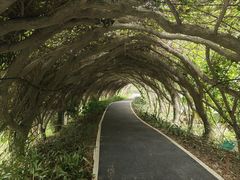 -广西壮族自治区药用植物园