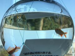 -知美术馆