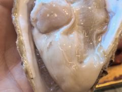 -牛New寿喜烧(金鹰世界店)