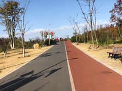 -上海长兴岛郊野公园