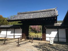 -醍醐寺