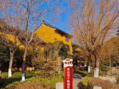 -圆通寺