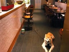 大堂-BOCATA 西班牙餐厅(三里屯店)