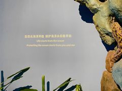 -重庆欢乐海底世界