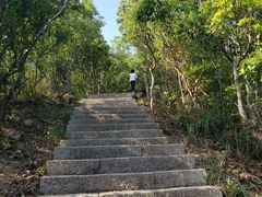 -梧桐山风景名胜区