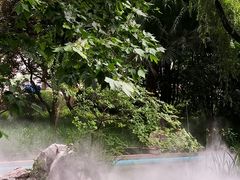 -静安公园(静安寺街道)