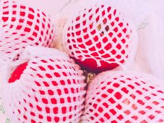 -乐乐鲜果水果超市(河北店)