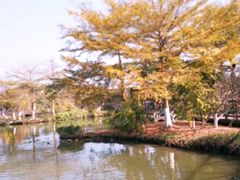 -海珠湖公园