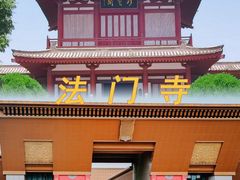 -关山草原