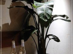 -韩见·韩式拌饭·炸鸡(石厦店)