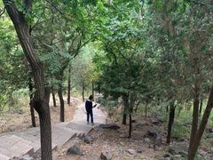 -北京十三陵国家森林公园蟒山景区