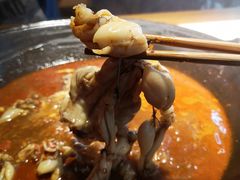 牛蛙火锅-老天桥蛙炉火锅(姑苏总店)