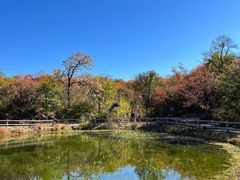 -周口店坡峰岭风景区