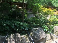 -宁海森林温泉