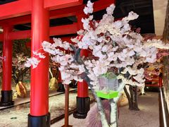 -蓝鲸湾汤泉(包河店)