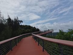 -东澳岛