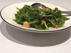 -津菜典藏河西店(水上店)