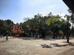-荔湾湖公园