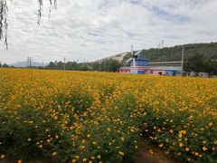 -大连铭湖国际观光牧场