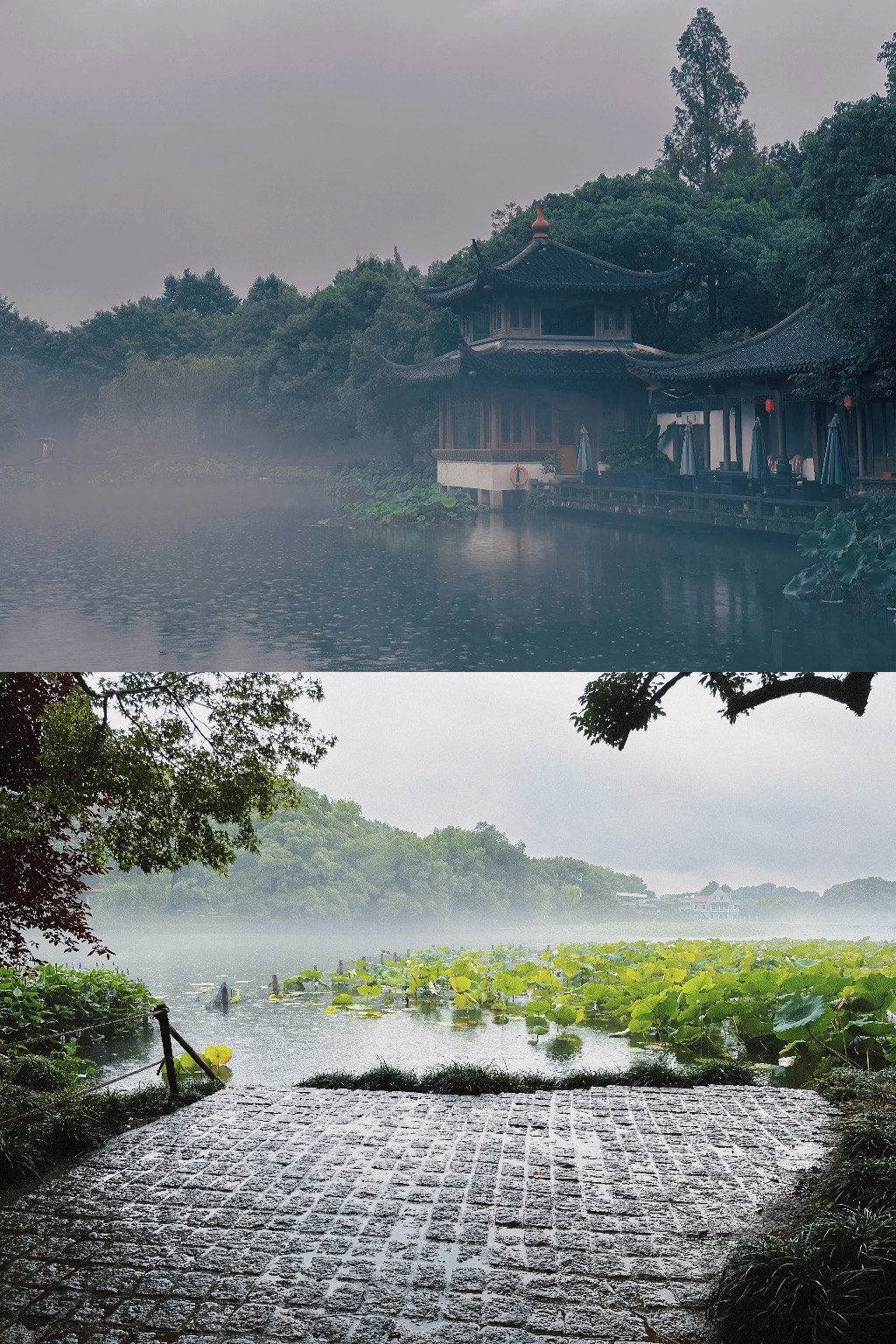 雨西湖.