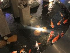 -梅园国际大酒店·自助餐厅(光明港店)