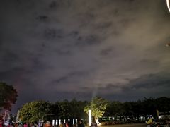 -大岗仙庙烧鸡(海南总店)