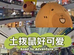 -重庆北碚万达广场