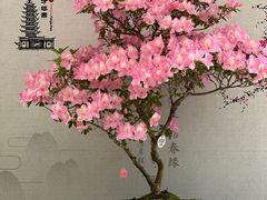 -上海方塔园