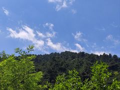 -黄帝陵