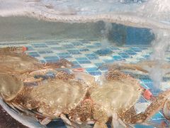 -北塘老院酒馆(鸿泰·千佰汇商业广场店)