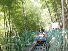 -藏龙百瀑风景区