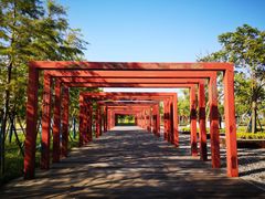 -春花秋色城市公园