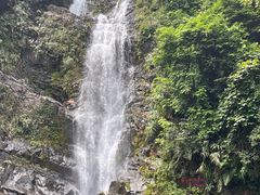 -鼎湖山风景区