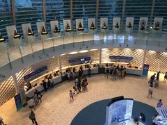 -王权免税店(廊曼机场店)