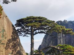 -黄山风景区
