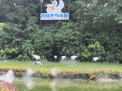-广州长隆飞鸟乐园