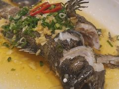 -東海海鲜酒家(中信广场店)