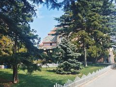 -青岛德国总督楼旧址博物馆